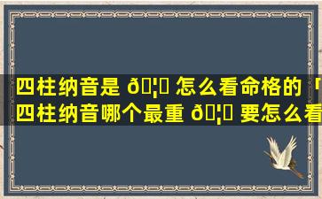 四柱纳音是 🦄 怎么看命格的「四柱纳音哪个最重 🦊 要怎么看命」